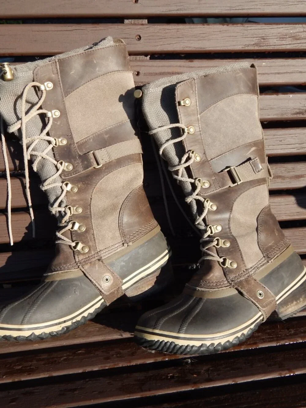 Sorel conquest carly